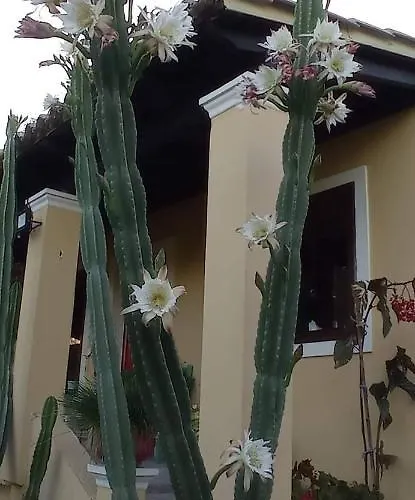Roula\'S House