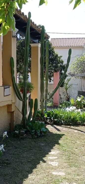 Holiday home Roula's House *