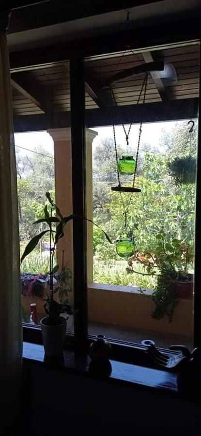 Roula's House * Nymfai