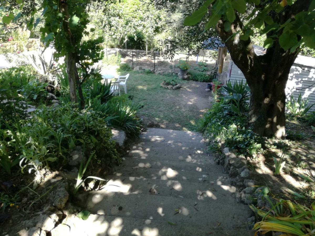 Roula's House * Nymfai